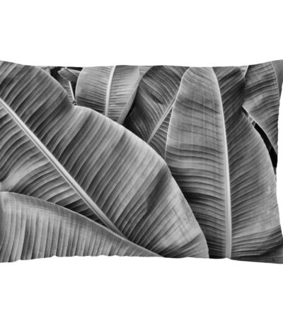 S2807752_0