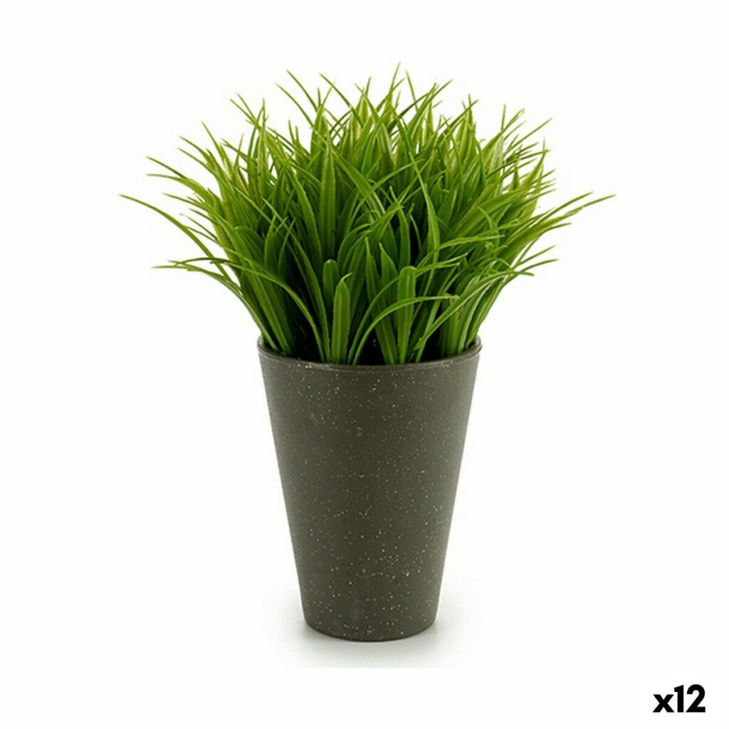 S3624279_0