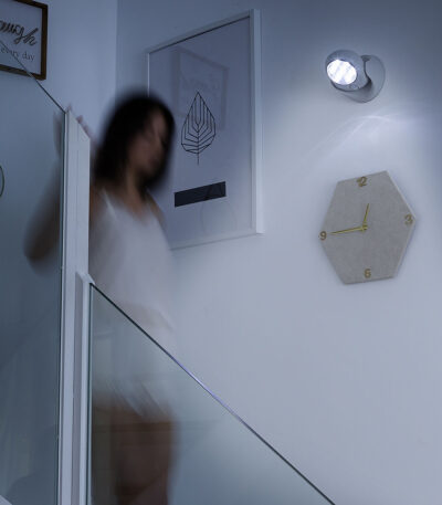 V0103582_0