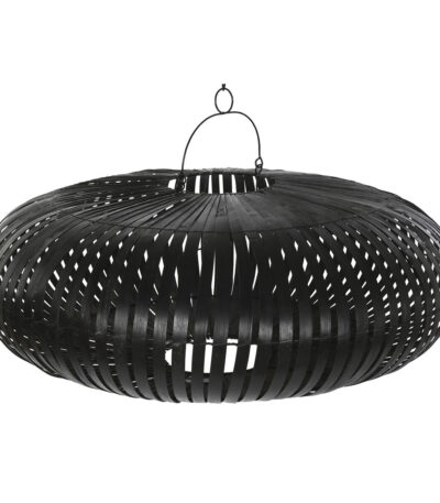 S3053498_0