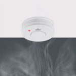S6503415_3