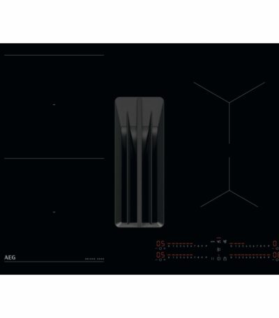 S0453973_0