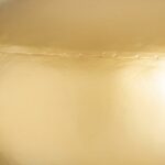 V0708424_2